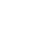 Icon 25